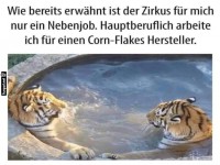 Tiger im Wellnessbereich: Nur ein Nebenjob!