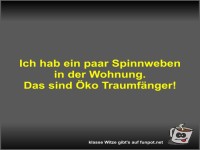 Ich hab ein paar Spinnweben in der Wohnung