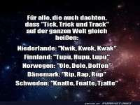 Die ganze Welt liebt Enten