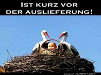 Bald wird ausgeliefert