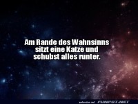 Mama, die Katze macht wieder Universum-Unordnung!