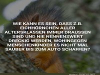Das saubere Geheimnis der Eichh�rnchen
