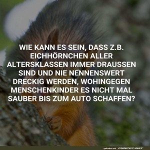 Das-saubere-Geheimnis-der-Eichh�rnchen.jpg von Annelie-68