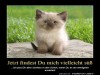 weiter