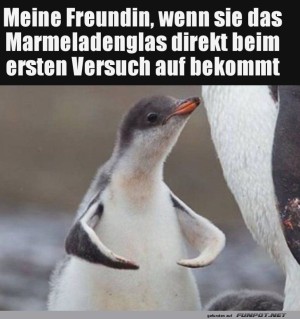 Pinguin-Power:-Gl�ser�ffnungs-Champion!.jpg auf www.funpot.net