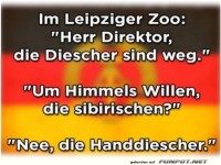 Verwirrung im Zoo: Handtuch-Alarm!