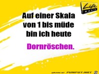Dornroeschen