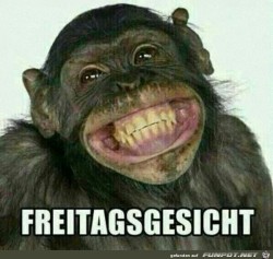 Freitagsgesicht.jpg auf www.funpot.net