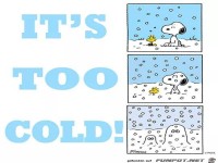 Es ist zu kalt