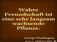 wahre freundschaft 