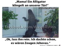 Alligator an der Tr
