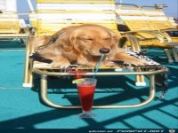 ways you can tell it is definitely summer 640 18