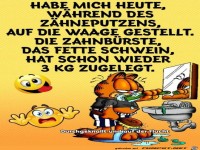 Auf die Waage gestellt