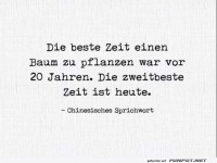 Baum pflanzen