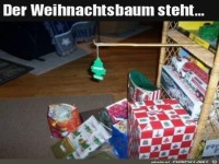 Der Baum steht bzw. h�ngt