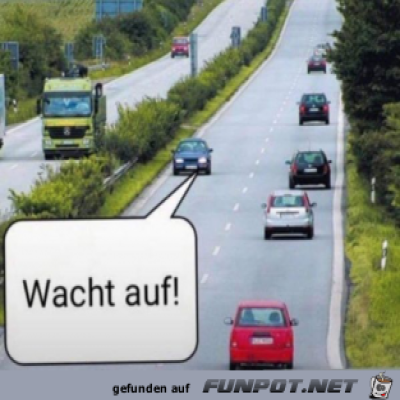 Querdenker-so....png von bexx