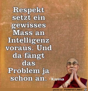 Respekt-setzt-ein-gewisses-Mass-der-Intelligenu-aus.jpg auf www.funpot.net