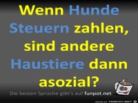 Hundesteuer