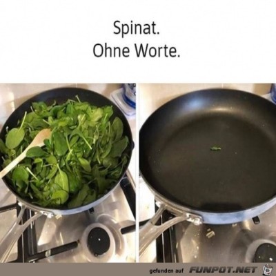 Vom-Spinat-bleibt-wenig-&uuml;brig.jpg von Steven
