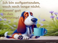 Guten Morgen am Dienstag