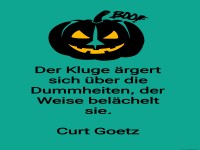 der kluge �rgert sich �ber