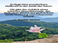 es liegt eine wunderbare heilkraft