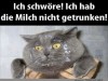 weiter