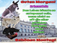 Turmbau zu Tierhausen: Ein Montag-Memo!