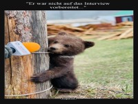 Brenreporter in der Interview-Falle!