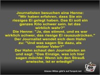Journalisten besuchen eine Henne