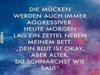 Wenn Mcken Ehrlichkeit lernen