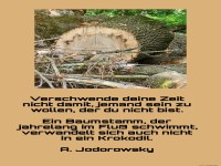 verschwende deine zeit nicht