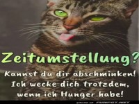 Katzenlogik trifft Zeitumstellung