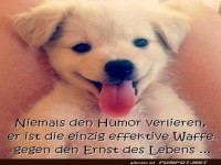 Welpenl�cheln als Geheimwaffe