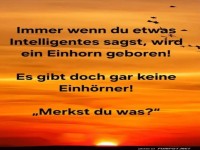 Einhorn-Mangel erkl�rt!