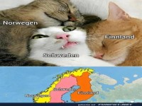 Schwedens kuschelige Nachbar-Herausforderung