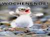 weiter