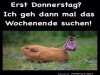 weiter