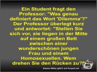 Ein Student fragt den Professor