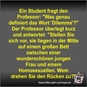 Ein-Student-fragt-den-Professor.jpg von Fossy