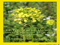 Ein Freund ist