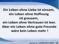 Ein Leben ohne Liebe...
