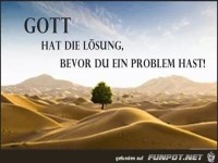 Problem-Loesung