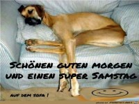 Samstag