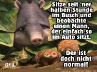 Der ist doch nicht normal