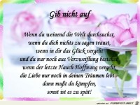gib nicht auf......