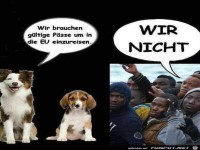 Wer braucht P�sse und wer nicht?