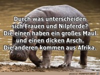 Frauen und Nilpferd