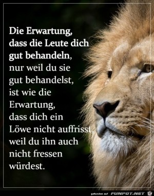 Falsche-Erwartungen.jpg auf www.funpot.net