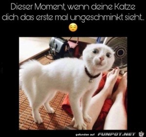 Wenn-du-ungeschminkt-bist.jpg auf www.funpot.net